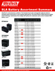UltraTech Battery - Assortment Summary